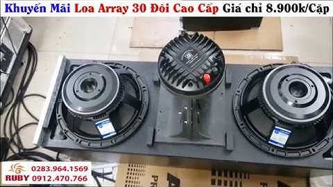 Loa Array 30 Đôi Khuyễn mãi Giá 8.900k/cặp
