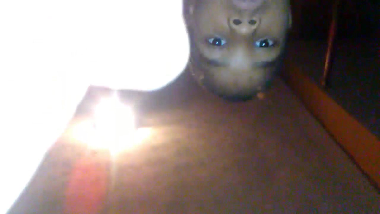 Erik Nate's first rap