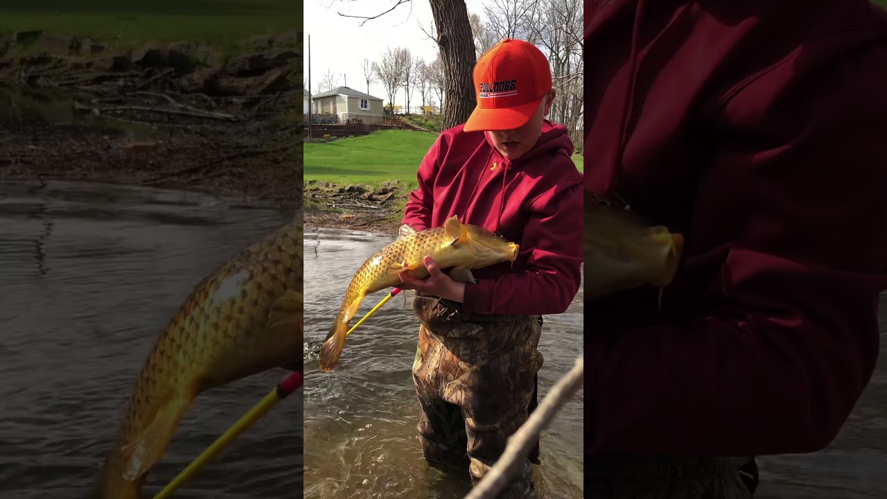 Bowfishing the river - YouTube