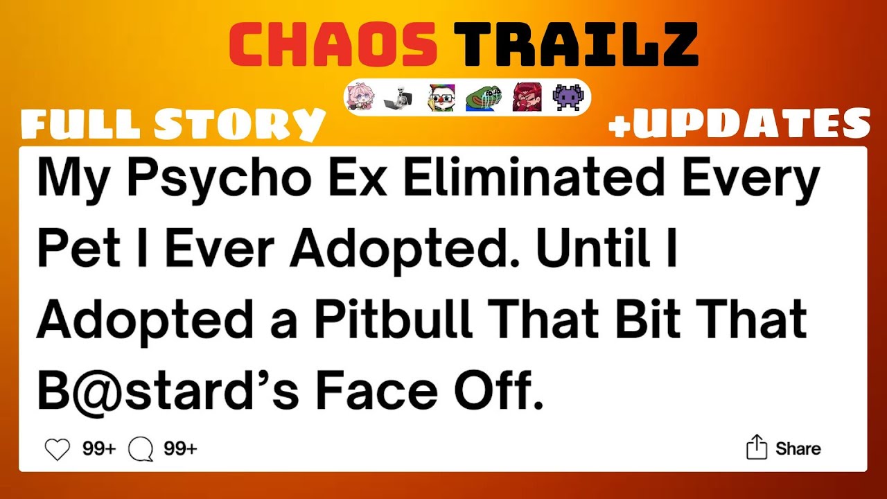 Full Story My Psycho Ex Eliminated Every Pet I Ever Adopted  Until I Adopted a Pitbull