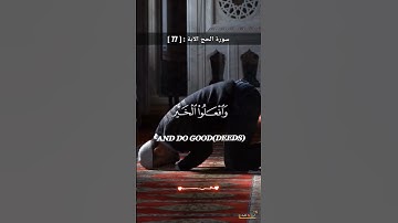 ما تيسر من سورة الحج الآية : [77]