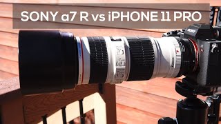 Sony a7R iv and iPhone 11 Pro Comparison - Is One Better?