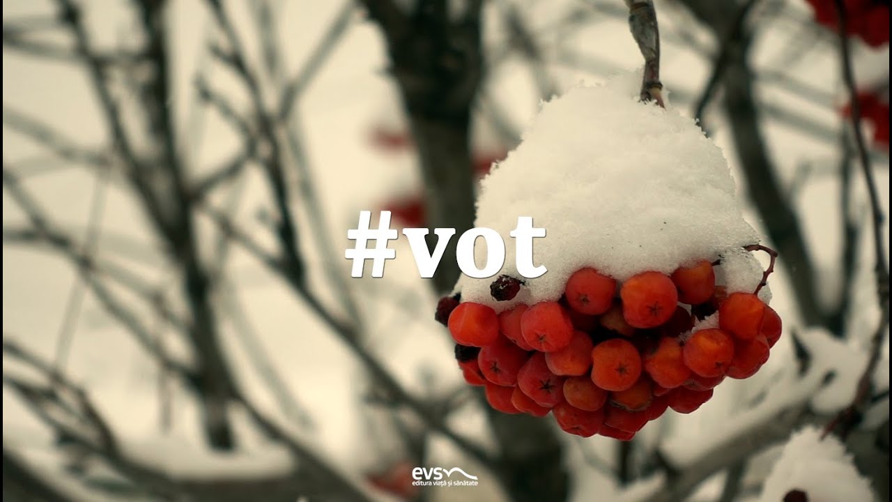 Vot
