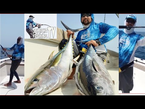 my intro | fujairah fishing | yellowfin tuna |