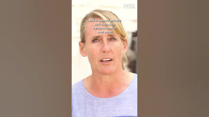 Why You Should Never Use Glue Traps #shorts