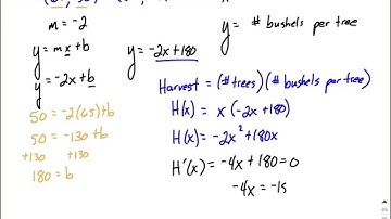 Linear relation trees per acre and bushels per tree, maximize harvest