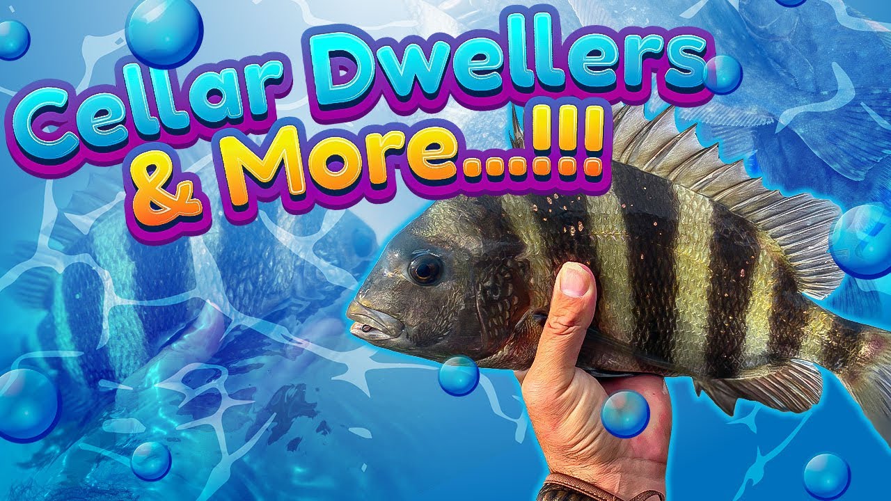 FISHING GEAR GIVEAWAY (MLF RED CREST) Fishing News Today