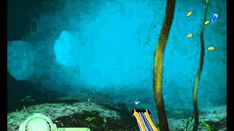 Shark ! Hunting The Great White - Walkthrough (Part 3) : Swimming With Dolphins