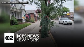 New Jersey officer disguised as shrub to catch distracted drivers