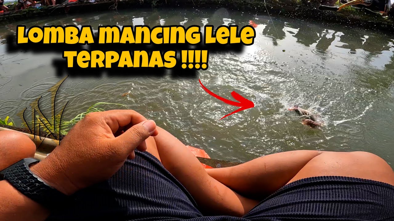 ‼️TERPANAS‼️ LOMBA MANCING LELE KALI INI PALING PANAS SEJAUH INI