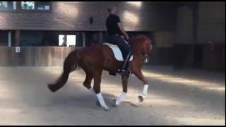 Special Agent Amour X Fidermark