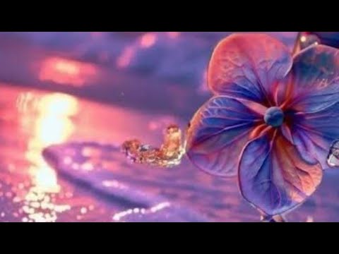 ليلة سعيدة للجميع بت صمت هدوء اليل نعمة كبيرة متنسوش دق دق قبل متدخلي لليف