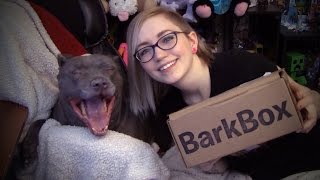 SO FESTIVE (BarkBox Dec 2014) | TradeChat