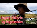 vlog#253 BAGONG DISKARTE SA PAGPAPATABA