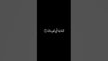 سورة المسد شاشة سوداء للشيخ محمد صديق المنشاوي ❤️❤️