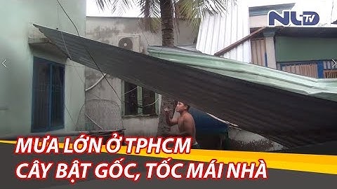Nhiều căn nhà tốc mái, cây xanh bật gốc sau trận mưa lớn ở TP HCM   NLĐTV   Video clip   Báo Người L