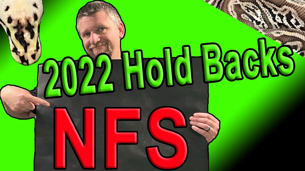 2022 Ball Python Holdbacks! YouTube