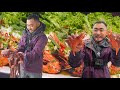 ALASKAN FEAST | Catch and Cook Spot Prawn and Octopus