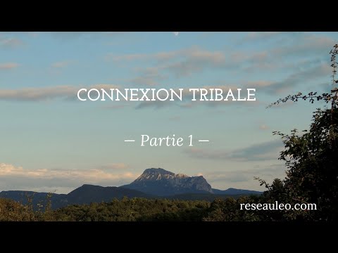 Le Réseau LEO : Connexion tribale - Partie 1