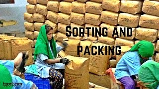 Sorting And Packing