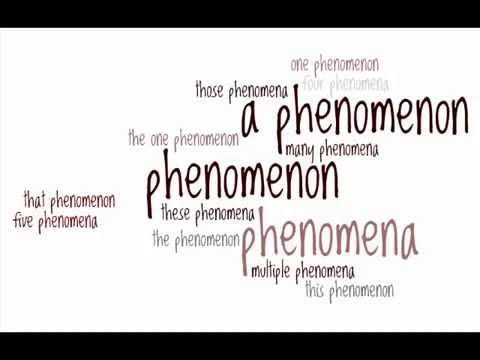 "Phenomenon" Versus "Phenomena" with Grammar Girl, Mignon Fogarty