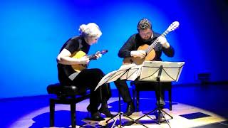Duo Shtepa-Sacharowa. F.Schubert - Sonata "Arpeggione" D821, 1.Movement
