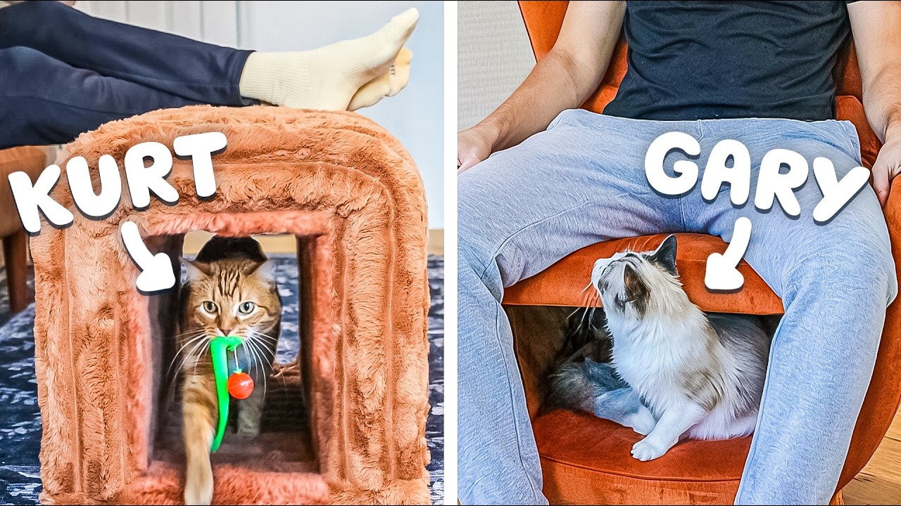 Тестирование мебели с тайными кошачьими укрытиями