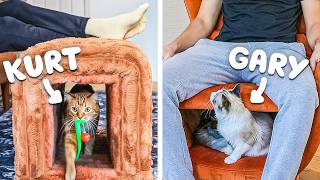 Testing Furniture that has Secret Cat Hideouts