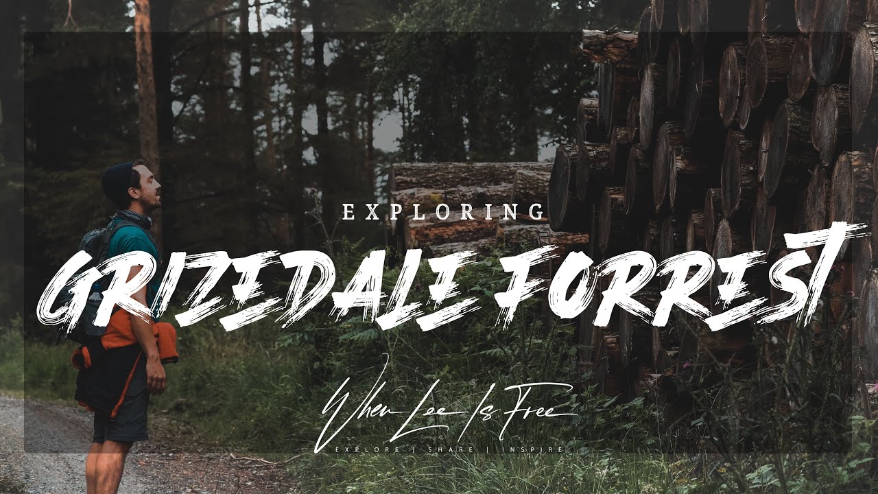 Grizedale Forest & Tarn Hows - Lake District Hike