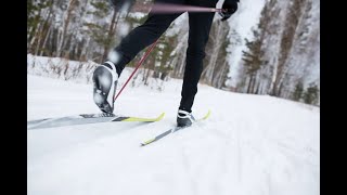 Беговые лыжи в мороз -20 , Катаем классикой