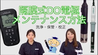 隔膜式DO電極のメンテナンス方法のご紹介