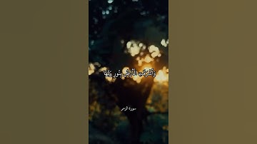 وَأَشْرَقَتِ الْأَرْضُ بِنُورِ رَبِّهَا    سورة الزمر    علي جابر 2