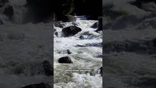 Qué Significa Soñar Con Un Río Crecido? Significado De Los Sueños