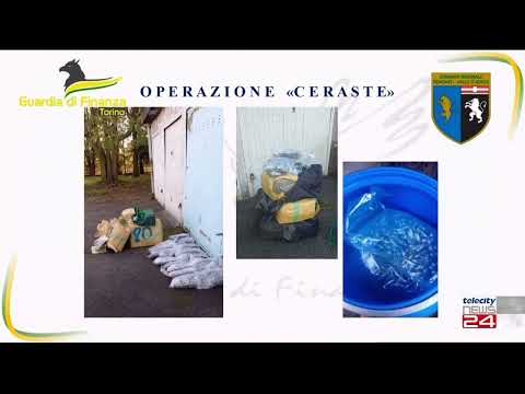 03/11/23 - Operazione Ceraste: Guardia di Finanza sequestra 800 kg di droga a Torino