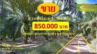 ขายสวนปาล์ม เนื้อที่ 6ไร่3งาน71.80 ตร.ว. นิคมสร้างตนเองพระแสง ต.ไทรขึง อ.พระแสง จ.สุราษฏร์ธานี