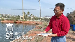 【湖內】湖內區農會