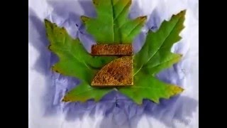 Pro7 Idents Werbung 199495