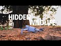 Hidden Wildlife – DJI Mini 4 Pro