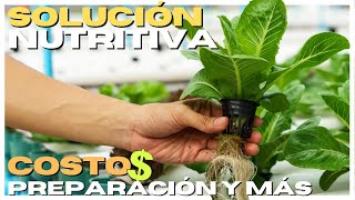 SOLUCIÓN NUTRITIVA 🌱 ¿Como preparar? 💲💲💲 ¿COSTO$?