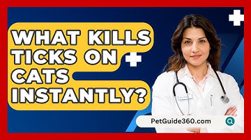 What Kills Ticks on Cats Instantly? - PetGuide360.com