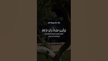 سورة البقرة | الآية ٨٣ | تلاوات نادرة | Quran Tilawat | #القارئ_اسدالله_عبدالوحيد #المصحف #اكسبلور