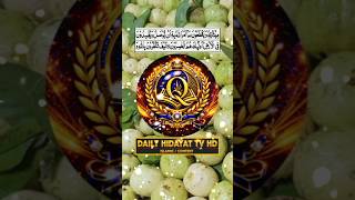 Al Baqarah Ayat 27 Quran Recitation Soft Voice #DailyHidayatTVHD #Shorts #quran #tilawat #baqarah