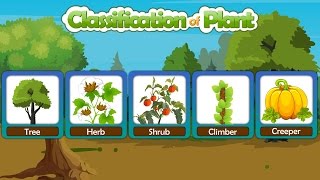 Classification of plants | Different types of plants | Types of plants | Plant taxonomy