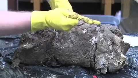 MPM: Experimental Archaeology