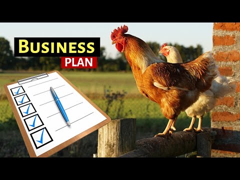 Video: How To Organize A Chicken Farm