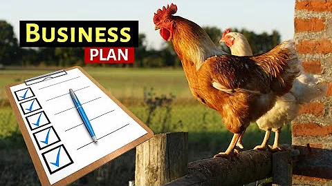 How To Make a Poultry Farm Business Plan | The Hidden Recipe for Success - DayDayNews