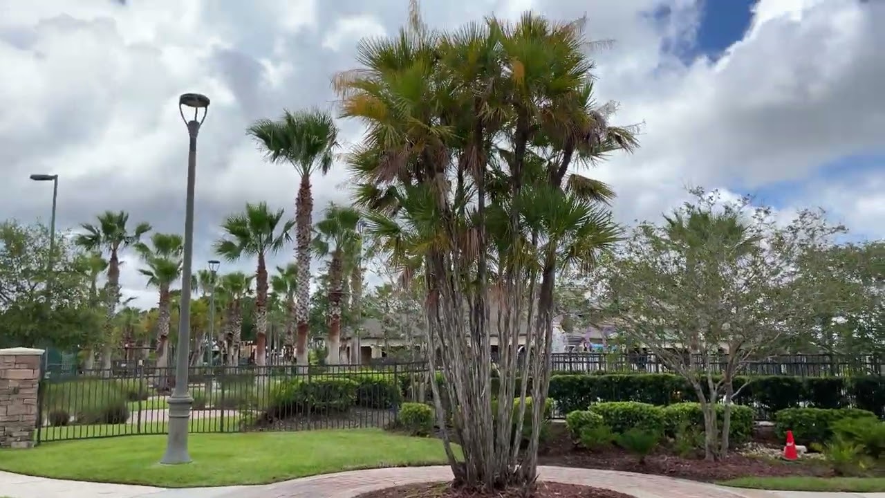 Sawgrass Lakes common areas