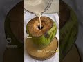 Viral coconut shake | Coconut shake | Coconut lover | shakes Recipes #jaipur #ytshorts #food #yt