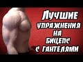 Упражнения на бицепс с гантелями