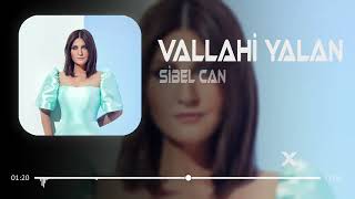 Sibel Can - Vallahi Yalan ( Furkan Demir Remix ) Resimi